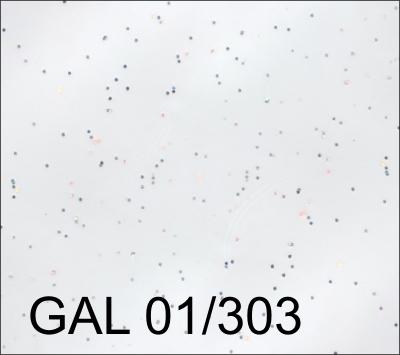 GAL 01-303