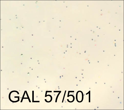 GAL 57-501