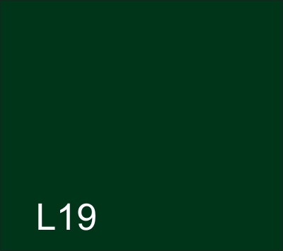 L19