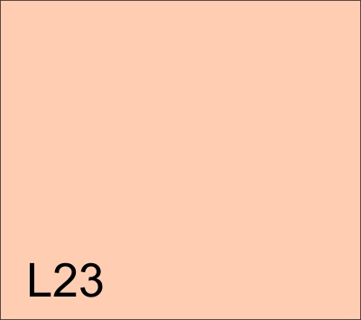 L23